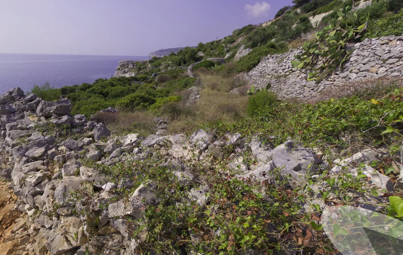 gagliano del capo cipolliane